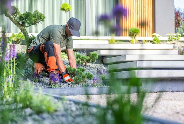 Innovative Technologietrends auf die man dieses Jahr achten sollte